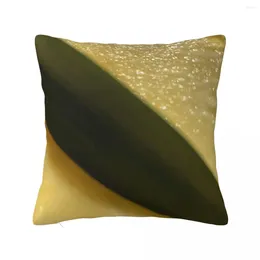 Pillow Pineapple Slice Leaf Fiji Throw Case Cases