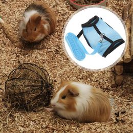 Dog Apparel Guinea Pig Clothes Harness Outdoor Pulling Rope For Pet Hamster Portable Traction Net Walk Ropes