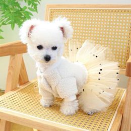 Dog Apparel Charming Pet Dress With Bow Trendy Accent Winter Lace Skirts Traction Ring For Dogs