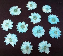 Decorative Flowers Pressed Dried Chrysanthemum Plant Herbarium For Jewelry Postcard Invitation Card Candle Making