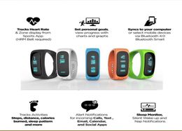 E02 Smart Bracelet Watches Waterproof Bluetooth Activity Tracker Bracelet Band Call SMS Remind Sport Watch Connecte For Iphone And7230221