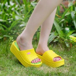 Slippers Thick Soled External Wearing 2024 One Line Comfortable Slope Heel Raised Casual High Women's Sandals Pantufa