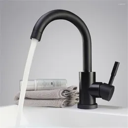 Bathroom Sink Faucets Black And White Color 304 Stainless Steel Polished Basin Mixer Dual Rotatable Faucet Kitchen Water Tap