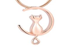 hh10024 SilverGoldBlack Moon Cat Shape Jewellery Cremation Jewellery Pet Ashes Urns Necklace Memorial Pendant For WomenMen wholes7396553