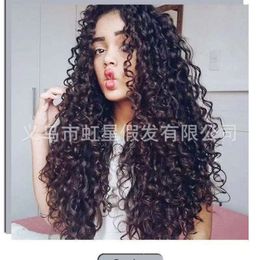 human curly wigs Wig Womens Fashion Chemical Fiber Head Cover Black Long Curly Hair Small Curly Wigs