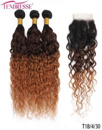 100 Unprocessed Virgin Hair Water Wave Bundle With Closure Coloured T1B430 Ombre Wet And Wavy Bundles With 4x4 Closures 4pcs Remy 5906280