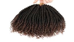 WATER WAVE Spring synthetic crochet braids tress hair with water weave curly in pre 18inch tress Hair Bulks9511143