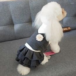 Dog Apparel Pet Clothes Solid Skirt With Floret Woollen Princess Dress Teddy Luxury