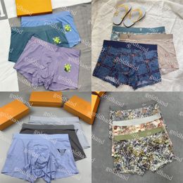 Sexy Mens Underpants Designer Underwear Brand Letter Printed Boxers Comfy Ice Silk Underpant Boxed Boxers