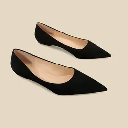 Casual Shoes Style All-around Temperament Rough Single-heeled Suede Commuter Low-heeled Work Female Medium-heeled Professiona