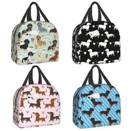 Bags Cute Coloured Coffee Dachshund Reusable Insulated Lunch Bag Cooler Tote Box Container with Front Pocket for Woman Man