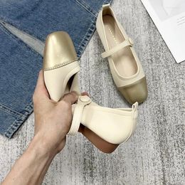 Dress Shoes Spring Autumn Mary Jane Fashion Women Round Toe Shallow Flat Ladies Elegant Single Leather Low Thick Heel