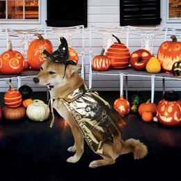 Dog Apparel Witch Hat Cape For Pets Adjustable Pet Stylish Set Halloween Party Decoration Festive Cats