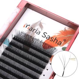 MARIA 4D W Shaped Beam Eyelash s Patch Faux Russian Private Label Wholesale Clusters Easy Fan Volume Lashes Makeup 240407