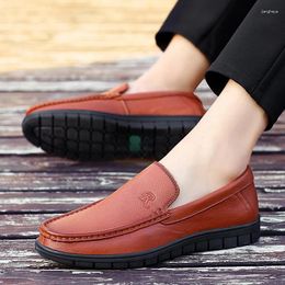 Casual Shoes Mens Loafers Genuine Leather Men Office Moccasins Breathable Slip On Footwear All-match Driving