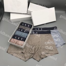 Fashion Mens Breathable Underpants Designer Letter Printed Underwear Briefs Top Quality Boxers With Box
