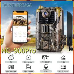 Cameras Hunting Camera HC900pro Night Vision Outdoor 4G with App Remote Control Trail Camera 4k Video 36MP Photo Live Show Wildlife