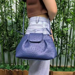 Bags 2022 Hot Sales Women Cloud Shoulder Bag Lady Hobo Purse Handbag for Saudi Arabia Women Ship form Riaydh