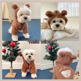 Dog Apparel Pet Hoodie Winter Autumn Puppy Fashion Cartoon Sweater Small Warm Clothes Cat Cute Desinger Jacket Schnauzer Poodle Yorkie