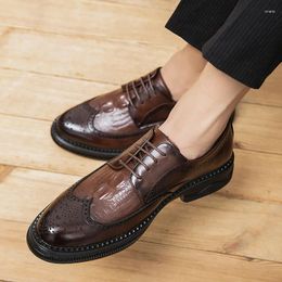 Casual Shoes British Style Men Brock Oxford Retro Crocodile Leather Formal Spring Autumn 2024 For