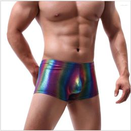 Underpants Design Rainbow Mens Sexy Shiny Bright Colourful Boxers Fashion Underwear