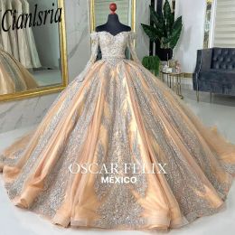 Champagne Off The Shoulder Quinceanera Dresses Ball Gown Floral Appliques Lace Tull Corset For Sweet 15 Girls With Long Sleeves