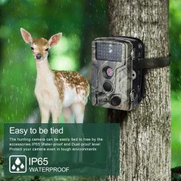 Cameras Trail Camera 24mp 1080p Wildlife Hunting Cameras Hc802a Infrared Night Vision Photo Trap Wireless Surveillance Tracking Cams
