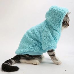 Dog Apparel Cute Pet Clothing With Hood Cosy Plush Fleece Hoodie For Weather Soft Comfortable Sweatshirt Two-leg Winter