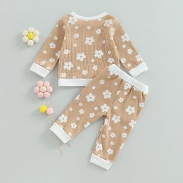 Clothing Sets Baby Girl Outfit Toddler Clothes Flower Long Sleeve Crew Neck Sweatshirts Pants 3 6 9 12 18 24 Months Gift