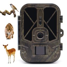 Cameras SuntekCam Wildlife Trail Cameras 50MP 4K IP65 Hunting Camera HC940A 10*AA Battery Night Vision Photo Traps Wireless Surveillance