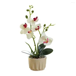 Decorative Flowers Decoration Beautiful Durable Realistic Multicolor For Home El Fabric Silk Artificial Phalaenopsis Potted