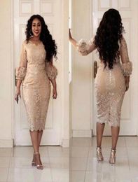 2023 Designer Champagne Plus Size Mother of the Bride Dresses Lace Applique 34 Sleeves Tea Length Wedding Guest Short Prom Dress 3821247