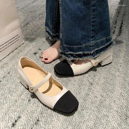 Casual Shoes Summer Small Fragrance Vintage Square Toe Mid-heel Color-block Buckle Mary Jane Block Heel Women's Foreign Trade