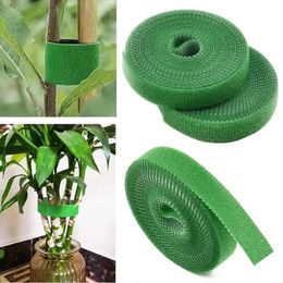 3 Rolls Green Garden Twine Plant Bindungen Nylon Pflanze Verband Gartenhakenschleife Bambusrohr -Rohrwick -Stütze Gartenzubehör