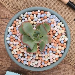 Aquariums 500g Colored Organic Light Ceramsite small stones 5mm for hydroponic succulents Fish tanks landscape Decoration Garden Supplies