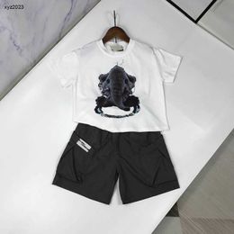 Fashion baby tracksuits Summer boys two-piece set kids designer clothes Size 90-150 CM Elephant print T-shirt and shorts 24April