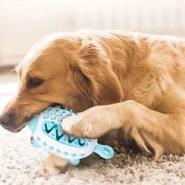 Spill Pet Toy Supplies Fun Dog Ball Outdoor Feeding Smell Teeth Grinding Stick