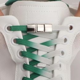 Shoe Parts Fashion Gradient Shoelaces Without Ties Elastic Laces Sneakers No Tie Press Lock For Men Women Casual Shoes Accessorie