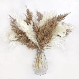 Decorative Flowers 10 PCS Boho Decor Fluffy Pampas Grass Natural Small For Home Wedding Coffee Table