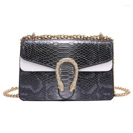 Bag Luxury Designer Women Pouch Messenger With Chains For Female Shoulder Tote Snake Skin Print Handbags And Purses 2024