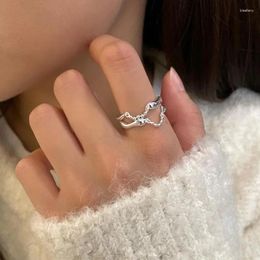 Cluster Rings S925 Silver Fashion Bilayer Irregular Metal Chain Hollow Out For Women Men Punk Colour Geometric Earrings Gift