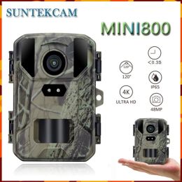 Cameras NEW Mini800 Hunting Trail Camera 48MP 4K Outdoor Infrared Low Glow Arction Camera Wildlife Reconnaissance NightVision Waterproof