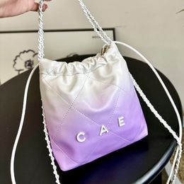 22Bag Mini Designer Multi Colour Gradient Women Garbage Silver Coin Charm Shoulder Bag Summer Beach Bag White Hardware Matelasse Chain Portable Shopping Bag 19/22cm