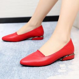 Dress Shoes Brand Thick Heel Ladies Pumps Genuine Leather Pointed Toe Colourful Square Heels Party Handmade Women