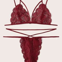 Hot Selling Erotic Lingerie, Sexy Women's Three Point Hollowed Out Split Style Lingerie Set