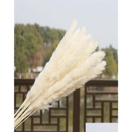 Decorative Flowers Wreaths Us Stock 30Pcs Natural Dried Pampas Grass Reed Home Flower Bunch Decor Outdoor Pink Decor25733498839 Drop D Ot6Nr