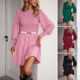 Casual Dresses European And American Women's Clothing Autumn Winter Solid Colour Long Sleeve Short Skirt Dress (without Belt)mini