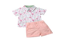 Emmababy 2019 Summer Fashion Toddler Kids Baby Boy Clothes Flamingo Shirt TopsPants Gentleman Beach Outfits Clothes 2PCS Set8162953