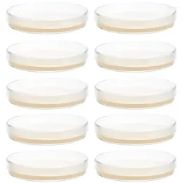 10pcs Prepoured Agar Plates Petri Dishes With Science Experiment Projects Laboratory Supplies