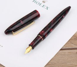 Pens Moonman M100 Acrylic Resin Creative Fountain Pen Schmidt Converter and Fine Nib 0.5mm Ink Pen Gold Trim Writing Gift Pen